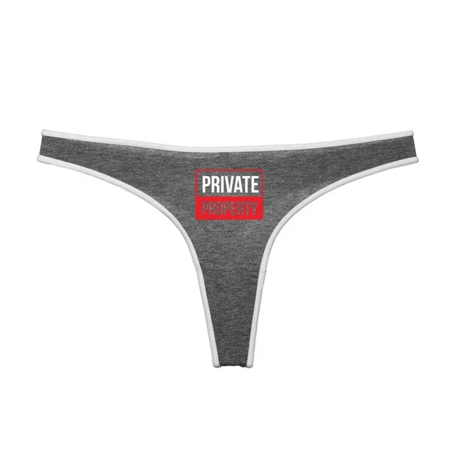 Private property thong, Sexy funny underwear for her, panty gift for her, wife, girlfriend gf, Sex panty gift couples, date and kinky wear