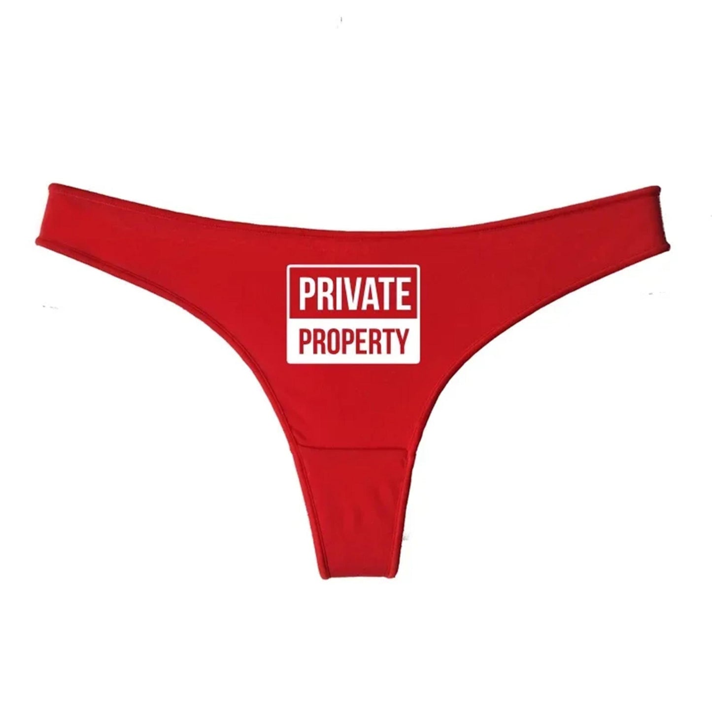 Private property thong, Sexy funny underwear for her, panty gift for her, wife, girlfriend gf, Sex panty gift couples, date and kinky wear
