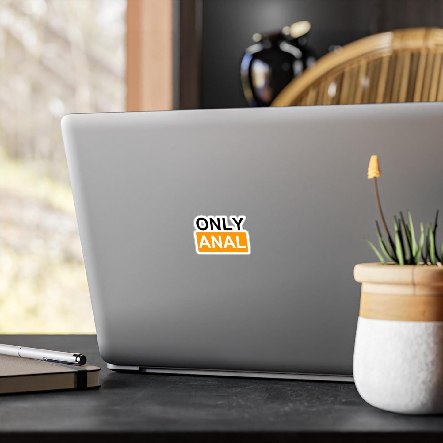 ONLY ANAL Sticker | Anal Only gift idea Funny Erotic Sticker, Mature Content, Kiss-Cut Sticker, Vinyl, waterproof Sticker For Tumbler