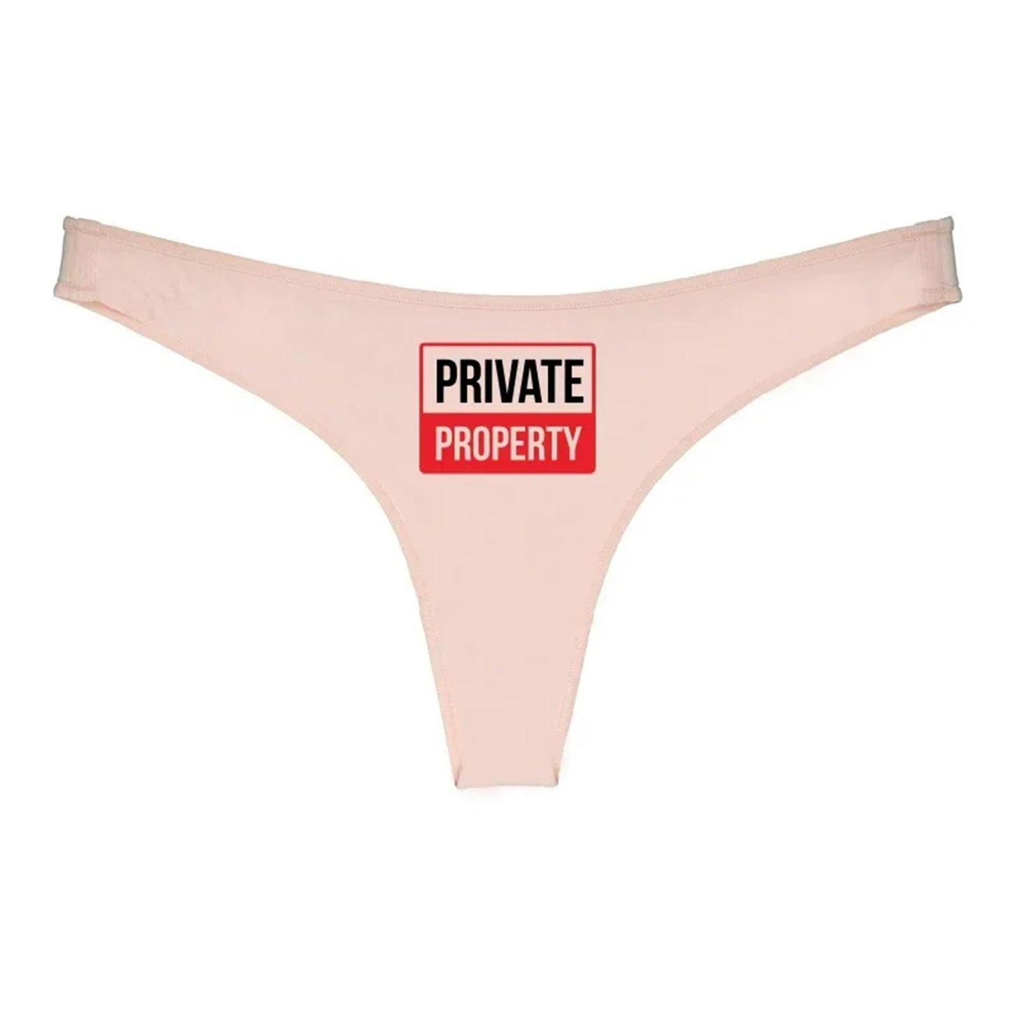 Private property thong, Sexy funny underwear for her, panty gift for her, wife, girlfriend gf, Sex panty gift couples, date and kinky wear